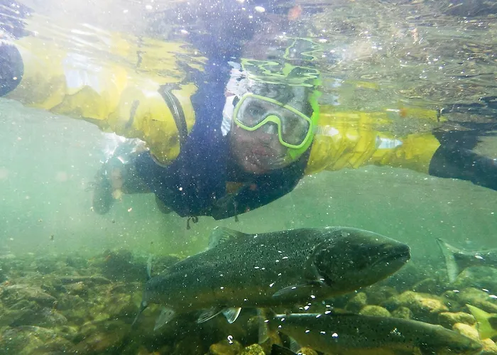 Mo Laksegard * סאנד